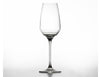 Zafferano Nuovo Esperienze Champagne Glass 38cl