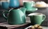 Barista Teapot 45cl 15oz - GREEN