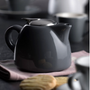 Barista Teapot 45cl 15oz - GREY