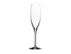 Stolzle Banquet Champagne Flute 17cl